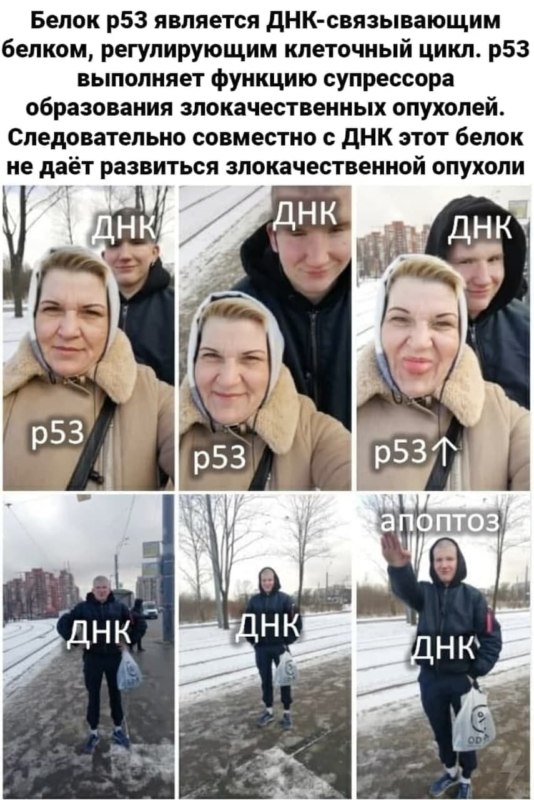 Сынуля Аболтус