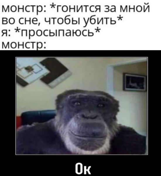 обезьяна без ушей