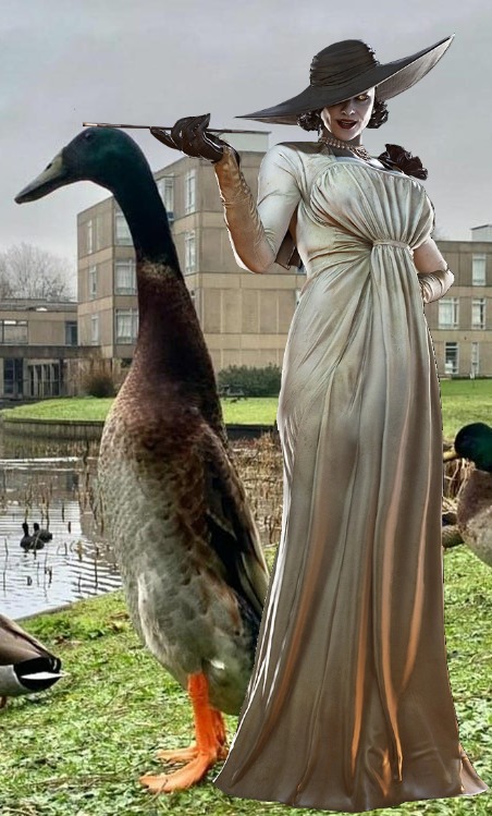 long duck meme long duck meme