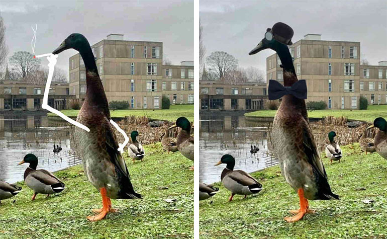 long duck meme long duck meme