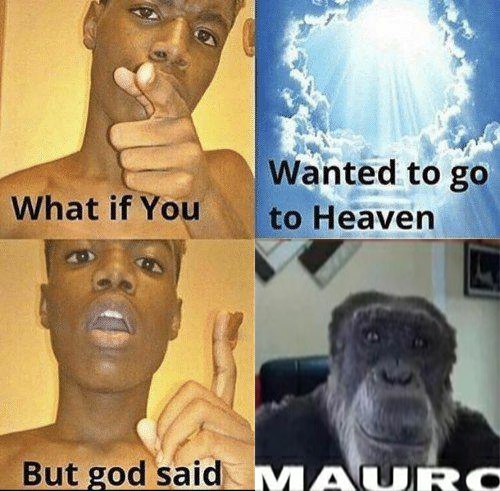 обезьяна без ушей