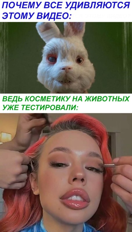 Кролик Ральф