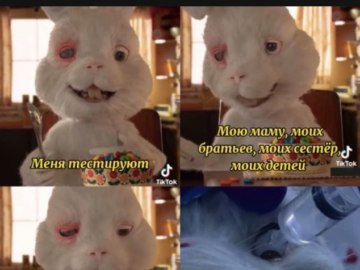 Кролик Ральф
