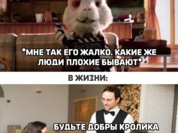 Кролик Ральф