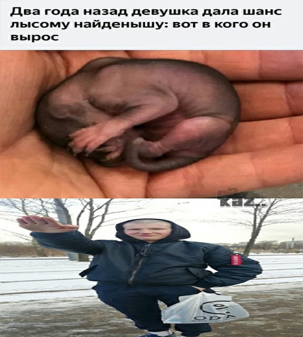 Сынуля Аболтус