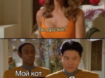 Вы друзья? Нет. Да.