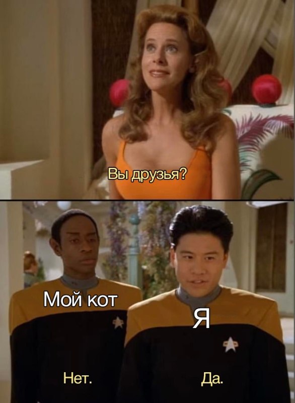 Вы друзья? Нет. Да.