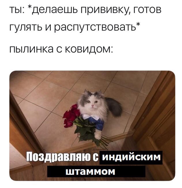 Мемы про вакцинацию Мемы про вакцинацию