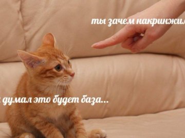 База