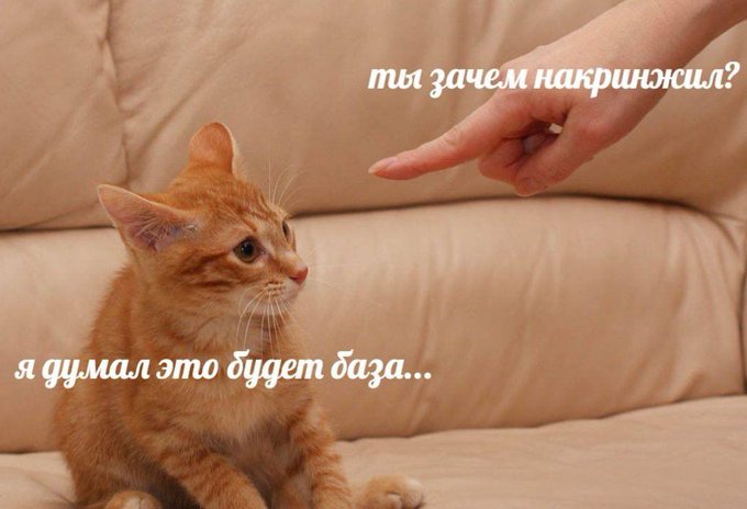 База