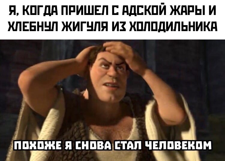 мемы про жару в россии 2021 мемы про жару в россии 2021