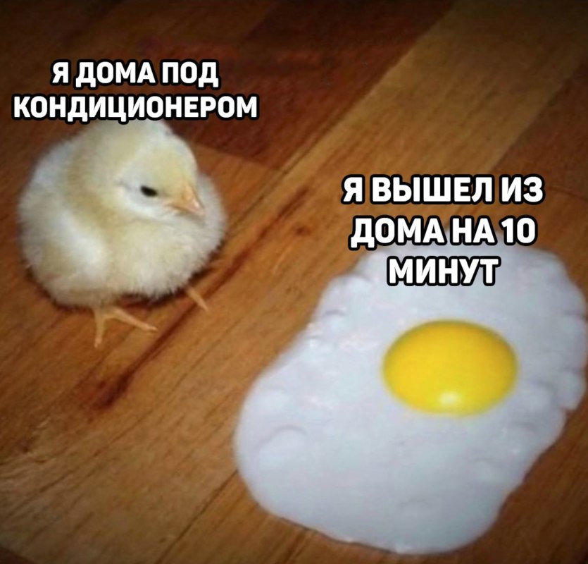 мемы про жару в россии 2021 мемы про жару в россии 2021