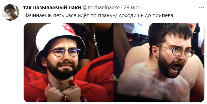 мем с фанатом на евро 2020