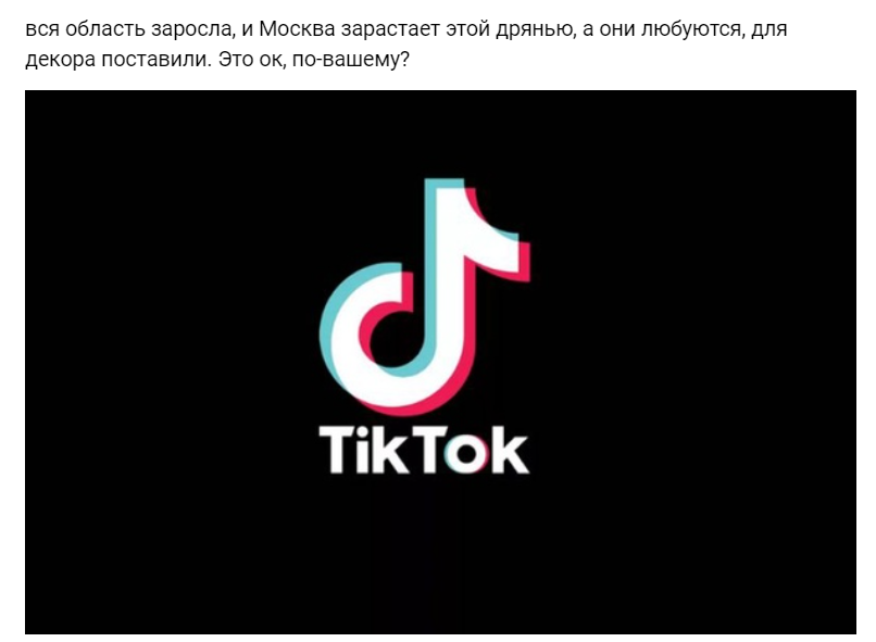 вся область заросла и москва зарастает