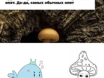 Shroomjak