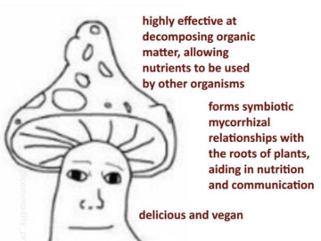 Shroomjak
