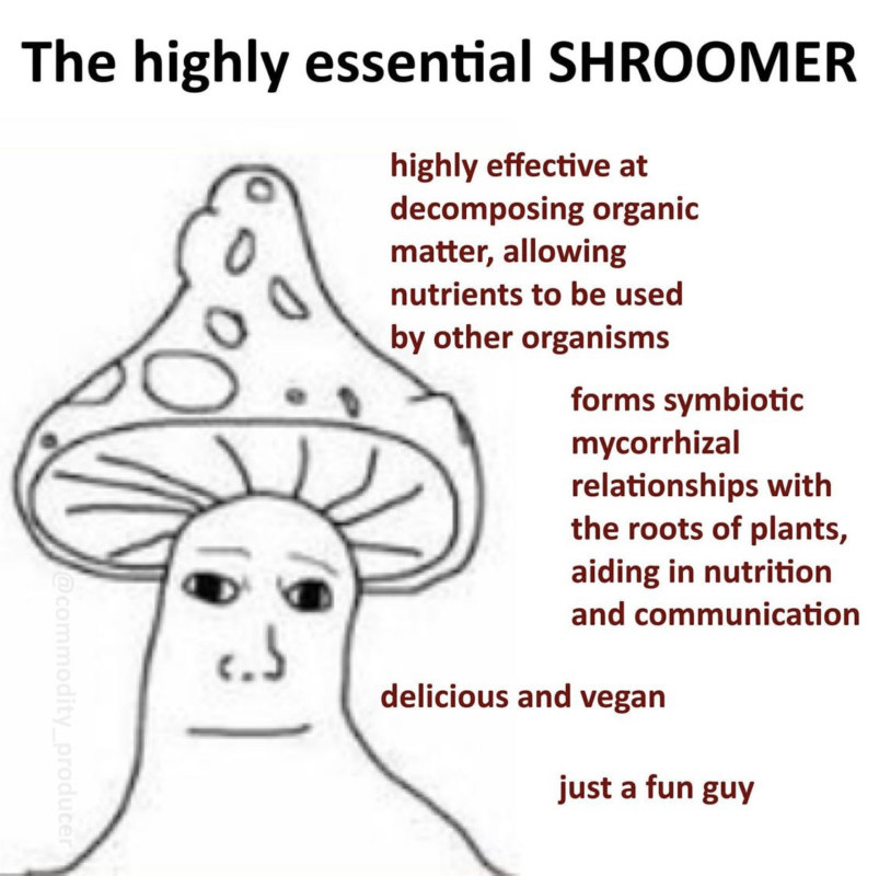 Shroomjak