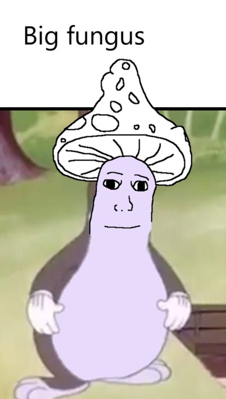 Shroomjak