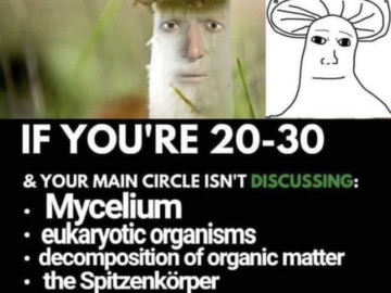 Shroomjak