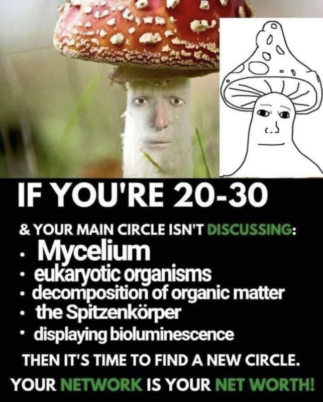 Shroomjak