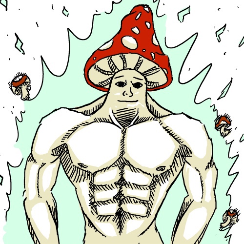 Shroomjak