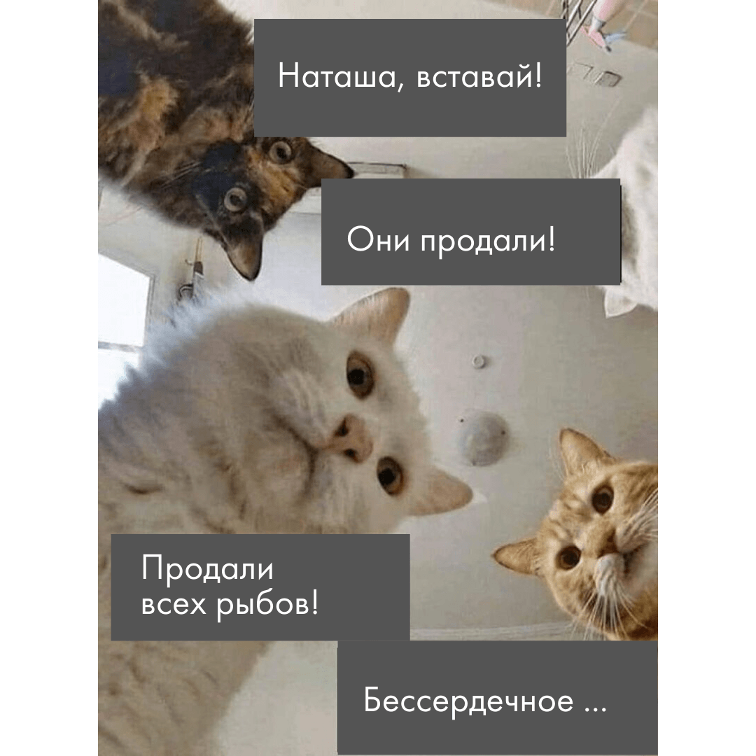 вы продаете рыбов