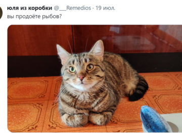 вы продаете рыбов