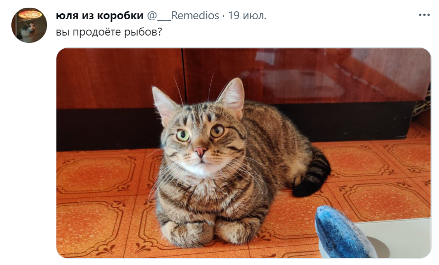 вы продаете рыбов