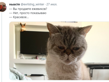 вы продаете рыбов
