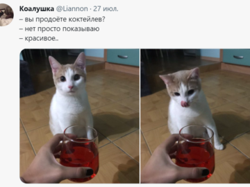 вы продаете рыбов