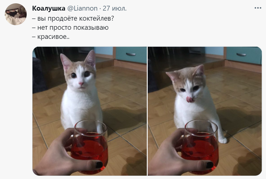 вы продоете что за мем вы продоете что за мем