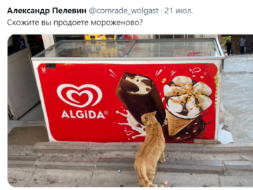 вы продаете рыбов