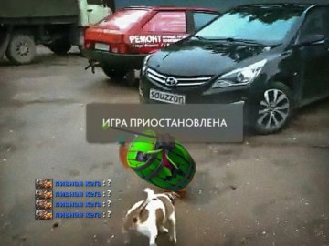 Собака и кега