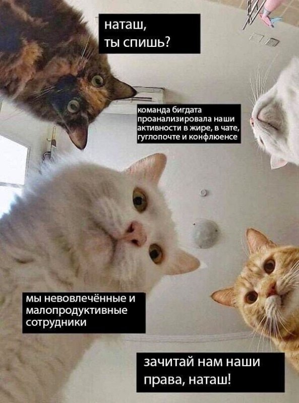 Команда биг дата 