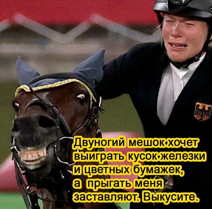 Лошадь отказалась ехать Лошадь отказалась ехать