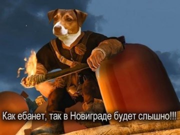 Собака и кега