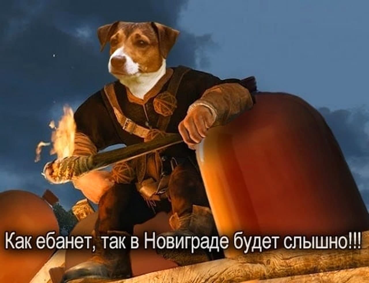 Собака и кега