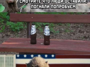 Ласка из Отряда Самоубийц
