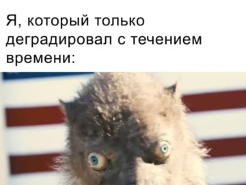 Ласка из Отряда Самоубийц