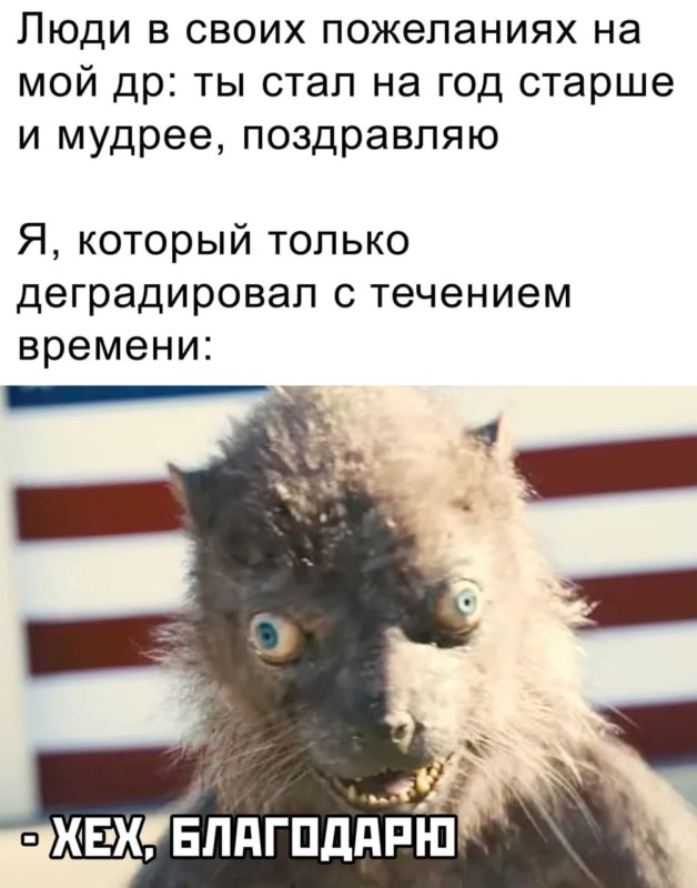 Ласка из Отряда Самоубийц