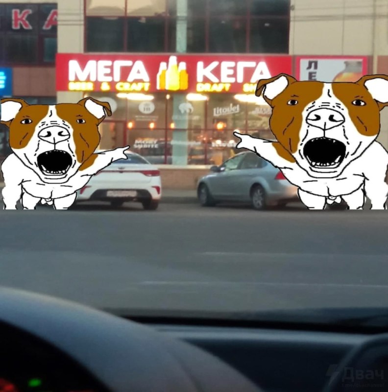 Собака и кега