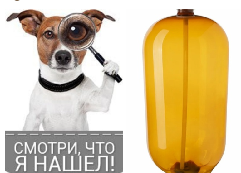 Собака и кега