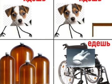 Собака и кега