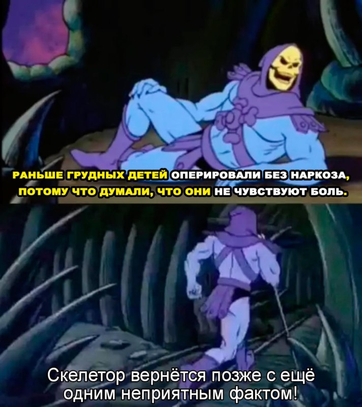 Скелетор вернется позже