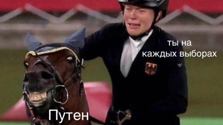 Лошадь отказалась ехать Лошадь отказалась ехать