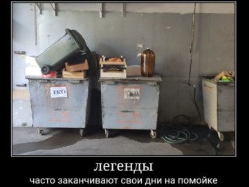 Собака и кега