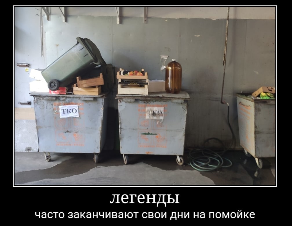 Собака и кега