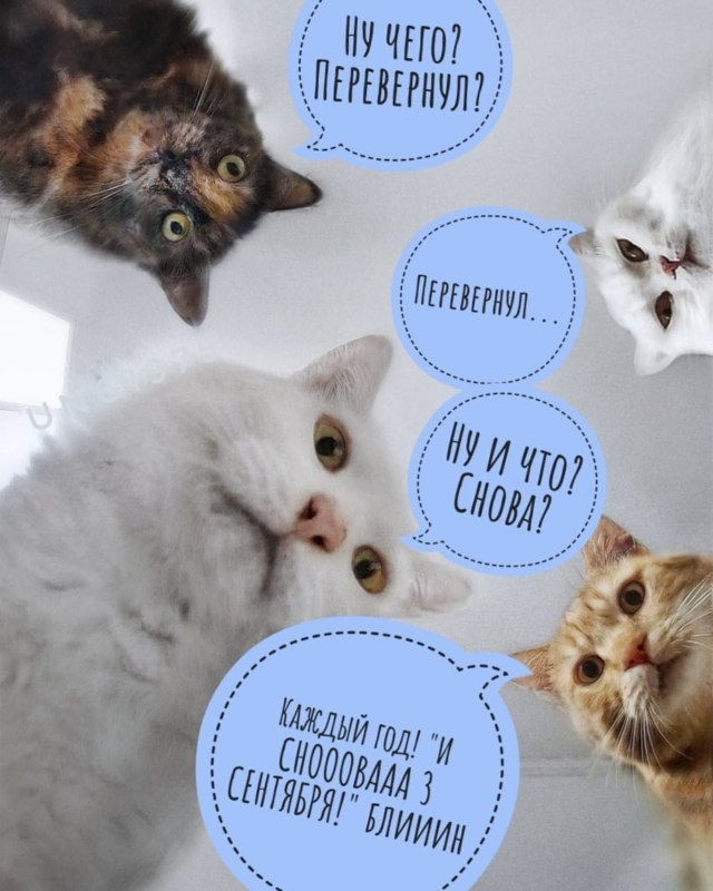 мемы про 3 сентября мемы про 3 сентября
