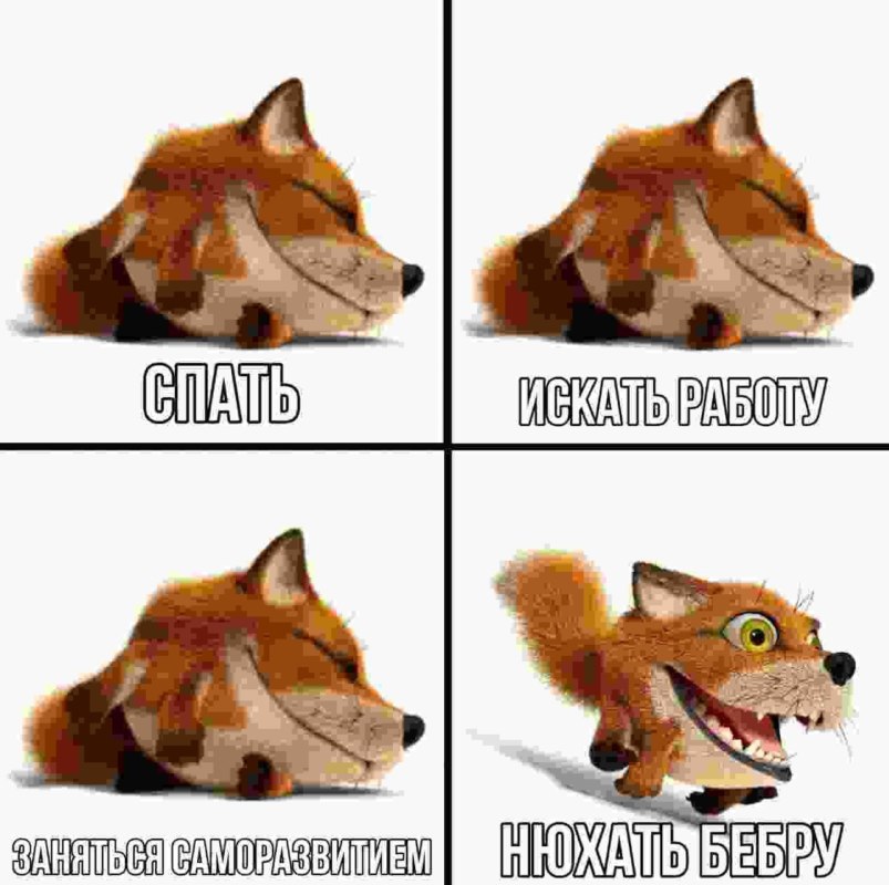 Бебра