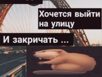Бебра